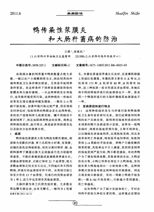 鸭传染性浆膜炎和大肠秆菌病饷防治
