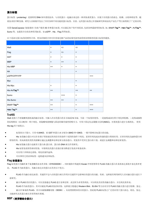 常见tag蛋白标签介绍