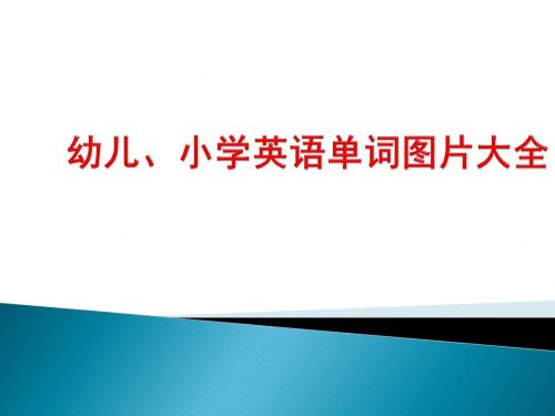 幼儿、小学英语单词图片大全-PPT精品文档