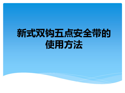 新式双钩五点安全带PPT课件