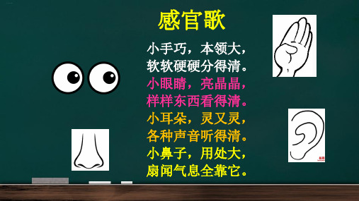 教科版《不同材料的餐具》精品课件PPT3