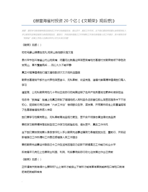 赫章海雀村投资20个亿 [《文朝荣》观后感]