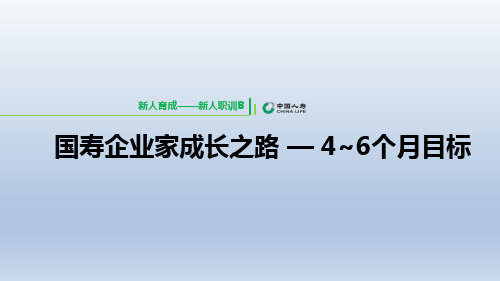 新人职训B课程1国寿企业家成长之路4至6个月目标含备注34页