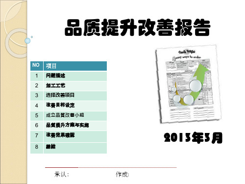 品质提升报告