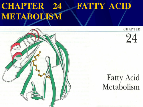 上海交通大学 上海交大 生物化学 课件 chapter 24fatty