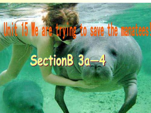初中英语 人教版新目标 九年级 Unit 15 We’re trying to save the manatees! (3)PPT课件