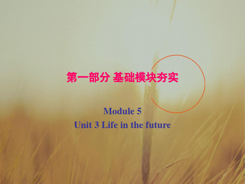 广东省广州市培才高级中学2018高考英语复习课件：必修五 Unit 3 Life in the fu