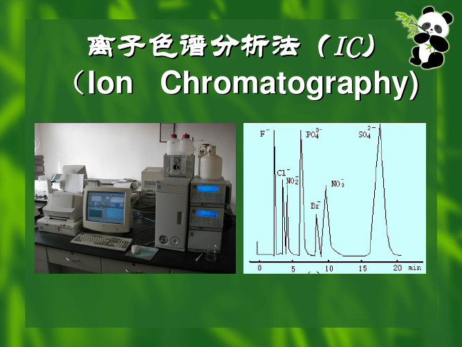 离子色谱分析技术