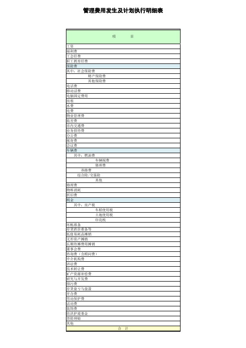 管理费用明细表