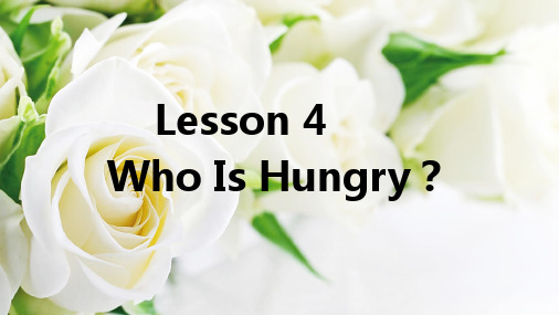 五年级下册英语习题课件-lesson4 Who Is Hungry? 冀教版