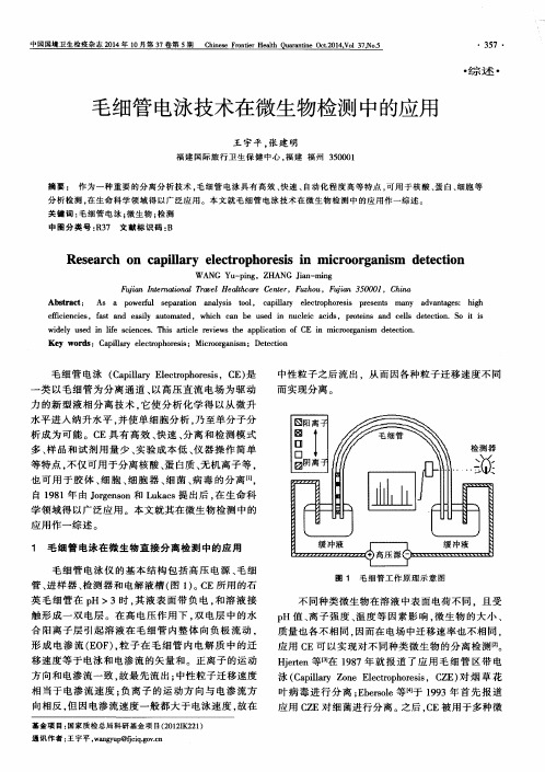 毛细管电泳技术在微生物检测中的应用