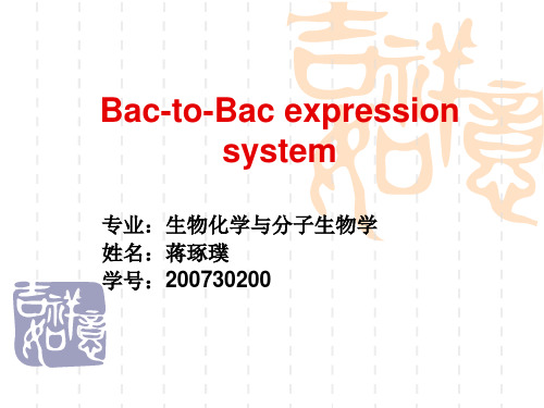 bac-to-bac expression system