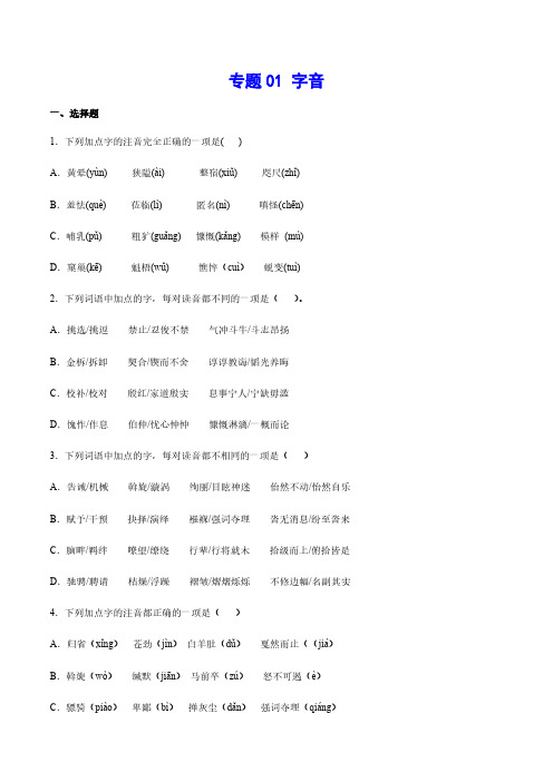 中考语文基础考点专题复习 字音(原卷版)