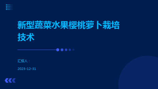 新型蔬菜水果樱桃萝卜栽培技术