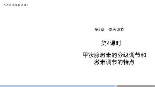 3.2甲状腺激素的分级调节和激素调节的特点课件高二上学期生物人教版选择性必修1