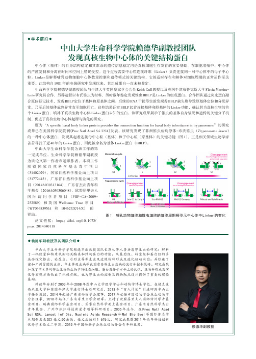 中山大学生命科学学院赖德华副教授团队发现真核生物中心体的关键结构蛋白