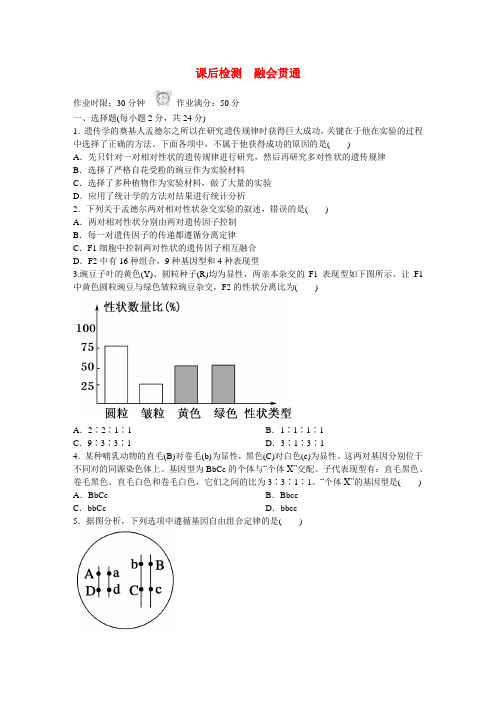 【红对勾 45分钟作业与单元评估】高中生物 1-2 孟德尔的豌豆杂交实验(二)课后检测 新人教版必修2