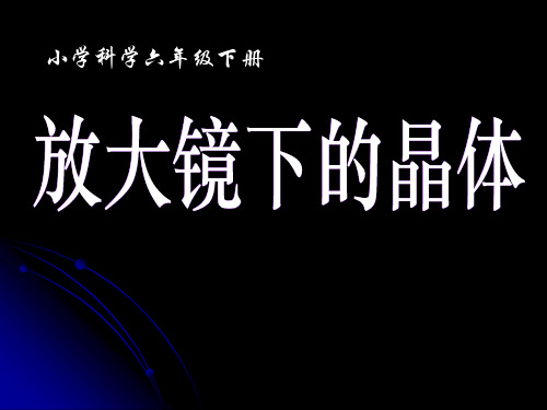 六年级下册科学课件 -1.3 放大镜下的晶体｜ 教科版 (共28张PPT)