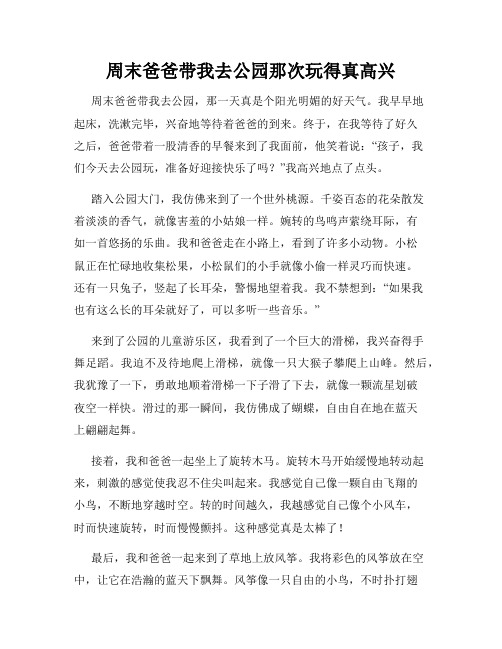 三年级作文那次玩得真高兴之周末爸爸带我去公园那次玩得真高兴