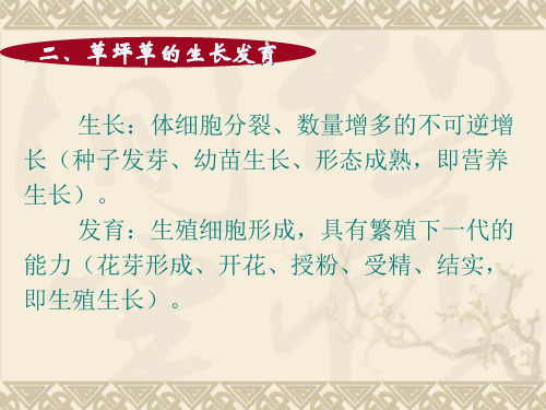 草坪草的生长发育