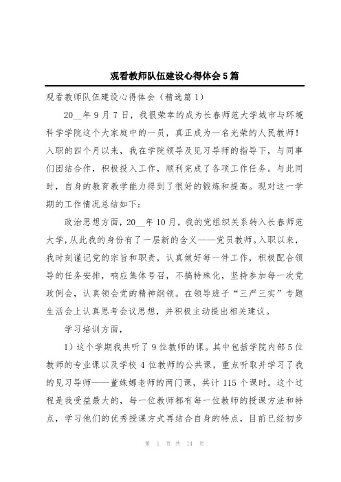 观看教师队伍建设心得体会5篇