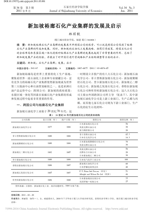 新加坡裕廊石化产业集群的发展及启示_林丽钦 (1)