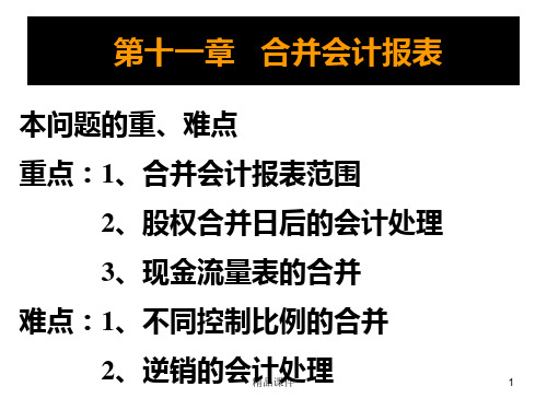 合并会计报表PPT课件