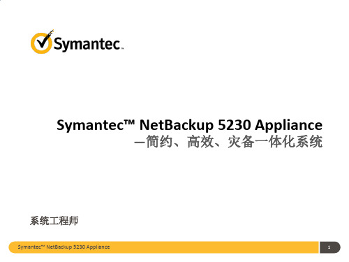 Symantec 备份一体化系统解决方案_v3