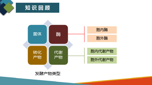 发酵产物提取与精制技术 发酵产物提取与精制工艺的设计