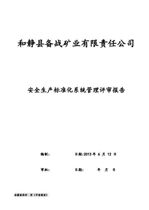 安全标准化系统管理评审报告【范本模板】