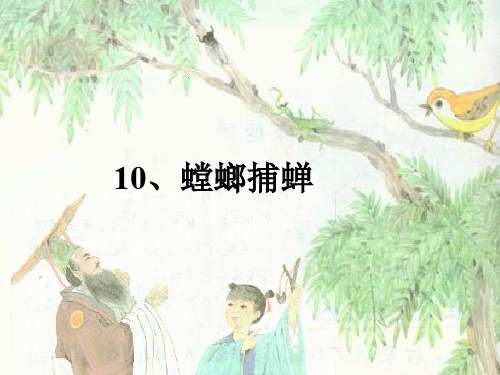 螳螂捕蝉课件1