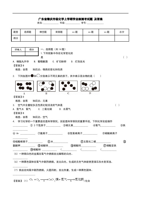 广东省肇庆市级化学上学期学业检测考试题 及答案.doc