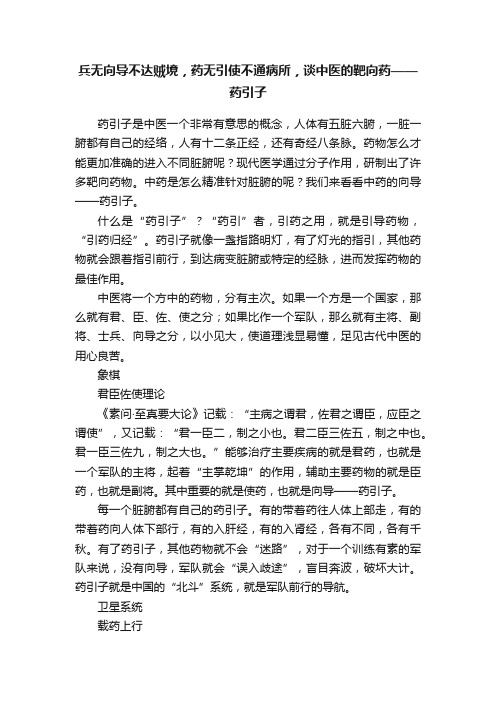 兵无向导不达贼境，药无引使不通病所，谈中医的靶向药——药引子