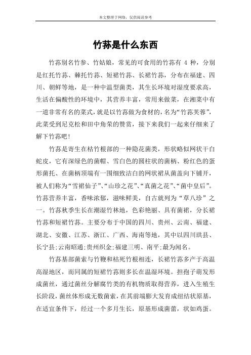 竹荪是什么东西