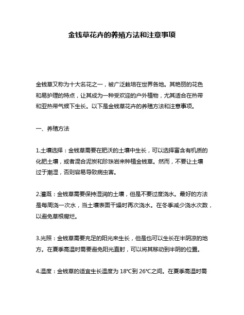 金钱草花卉的养殖方法和注意事项