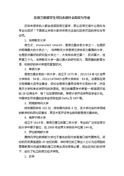 在荷兰的留学生可以去读什么院校与专业