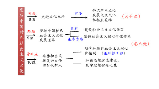 81色彩斑斓的文化生活PPT