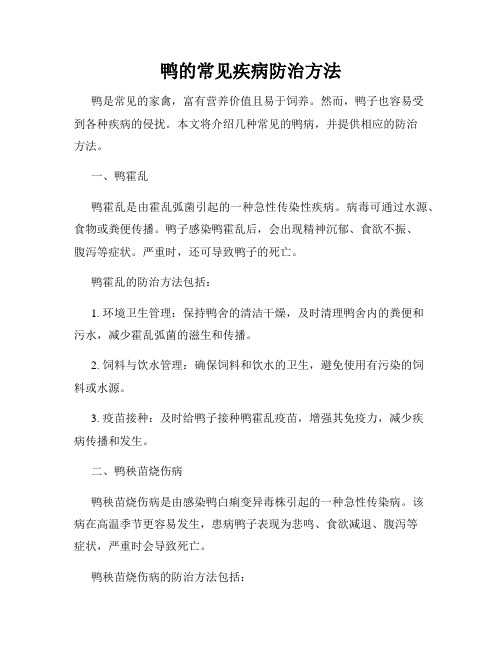 鸭的常见疾病防治方法