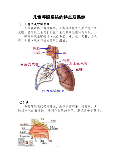 育儿大全(三)儿童呼吸系统的特点及保健