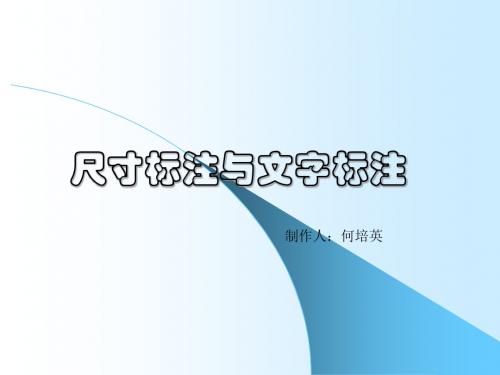 CAD尺寸标注与文字标注