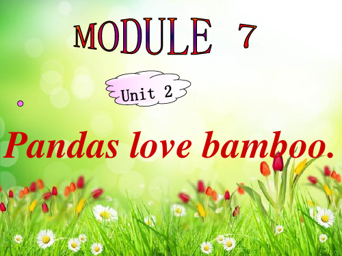 最新外研社(三起)六年级英语上册课件：7.2pandas love bamboo