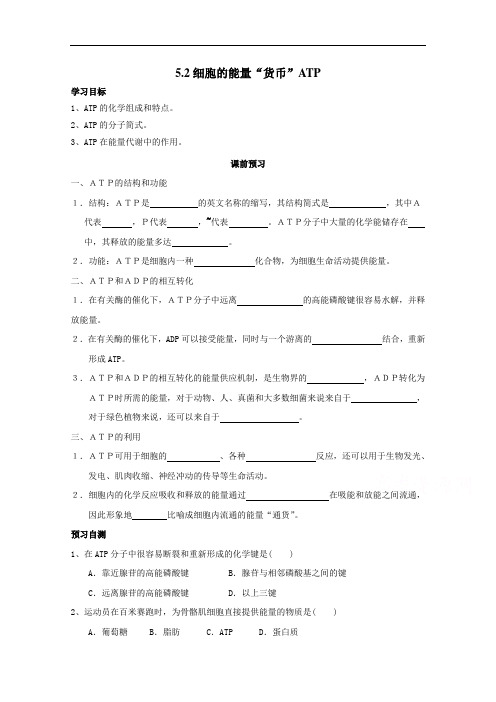 5.2细胞的能量“货币”ATP 学案 