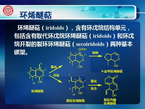 知识点 环烯醚萜