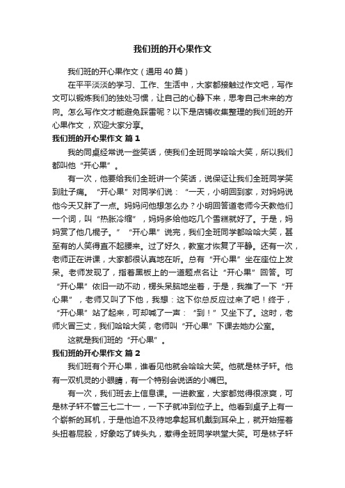 我们班的开心果作文