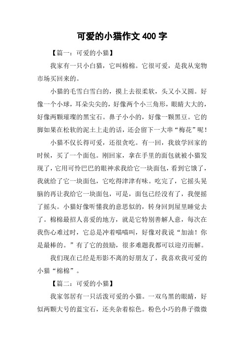 可爱的小猫作文400字