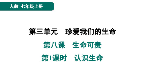 第八课 生命可贵 第1课时 认识生命 预习训练课件-统编版(2024)道德与法治七年级上册