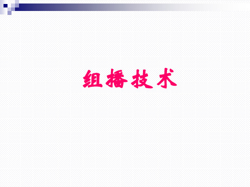 高级计算机网络技术之组播技术教程文件