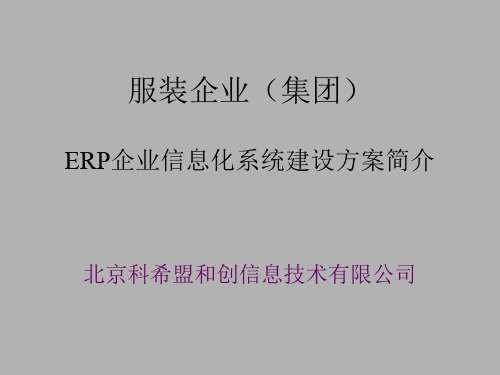 ERP企业信息化系统建设方案简介.pptx