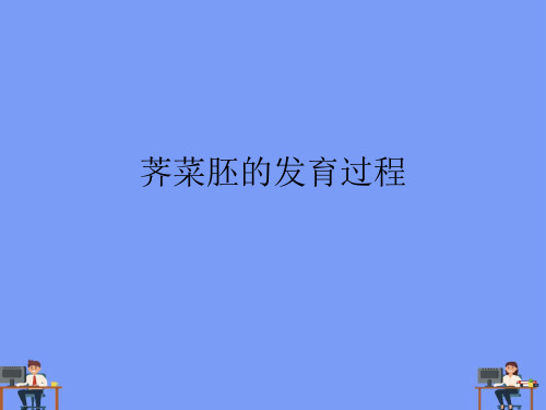 (2021)荠菜胚的发育过程完美版PPT