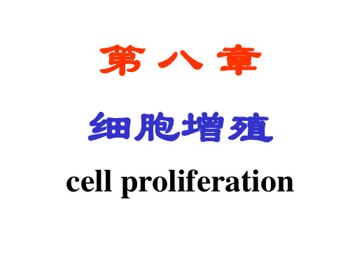 细胞周期的过程细胞周期DNA合成前期G1期